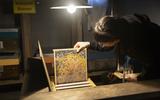 Ausstellungsansicht Insektensterben