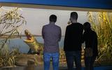 Bar der toten Tiere 2024