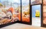 Ausstellungsansicht Mensch, Erde! Das Klima im Wandel