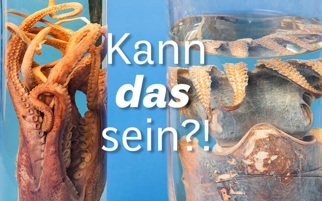 Kann das sein?!