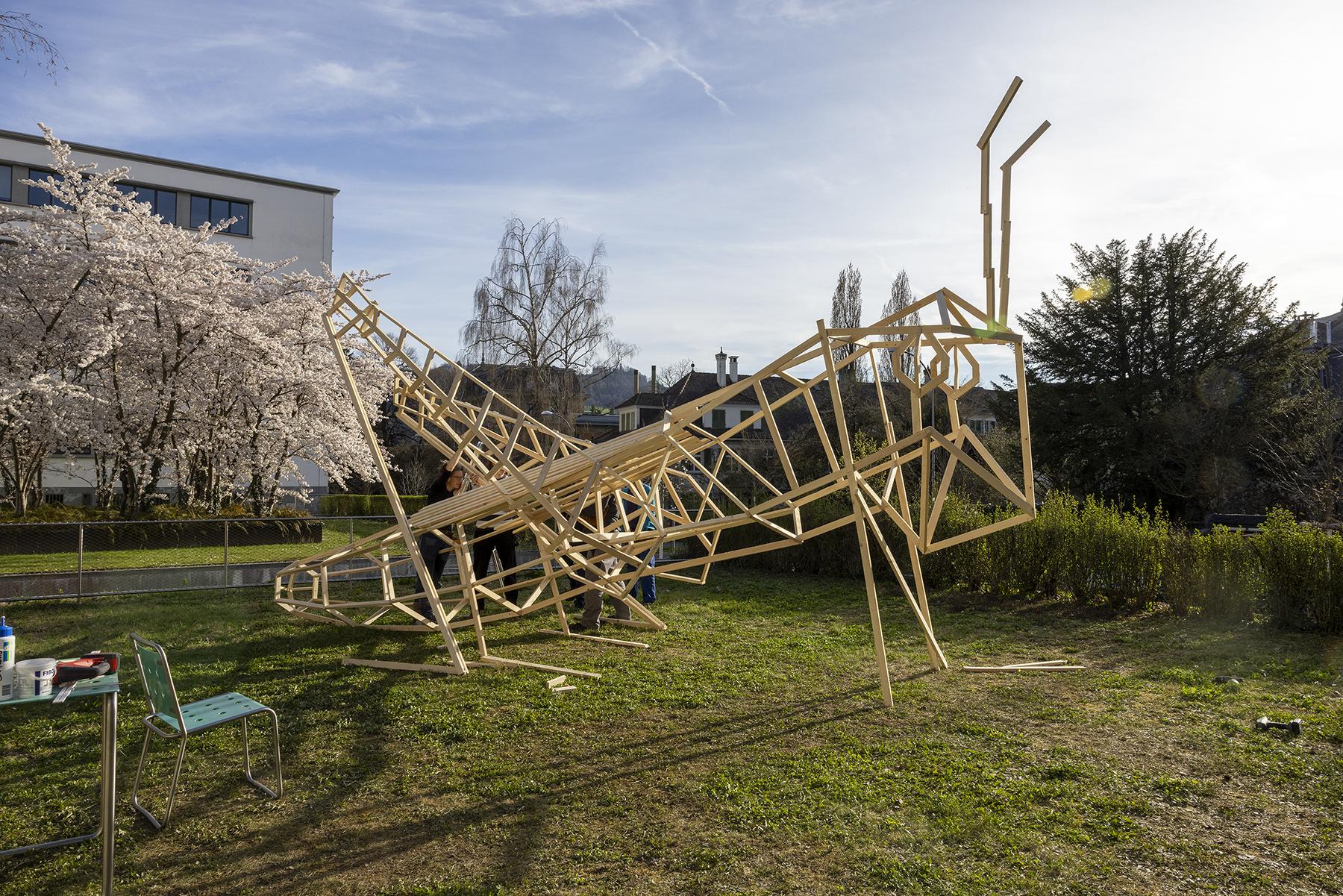 Gemeiner Grashüpfer beim NMBE