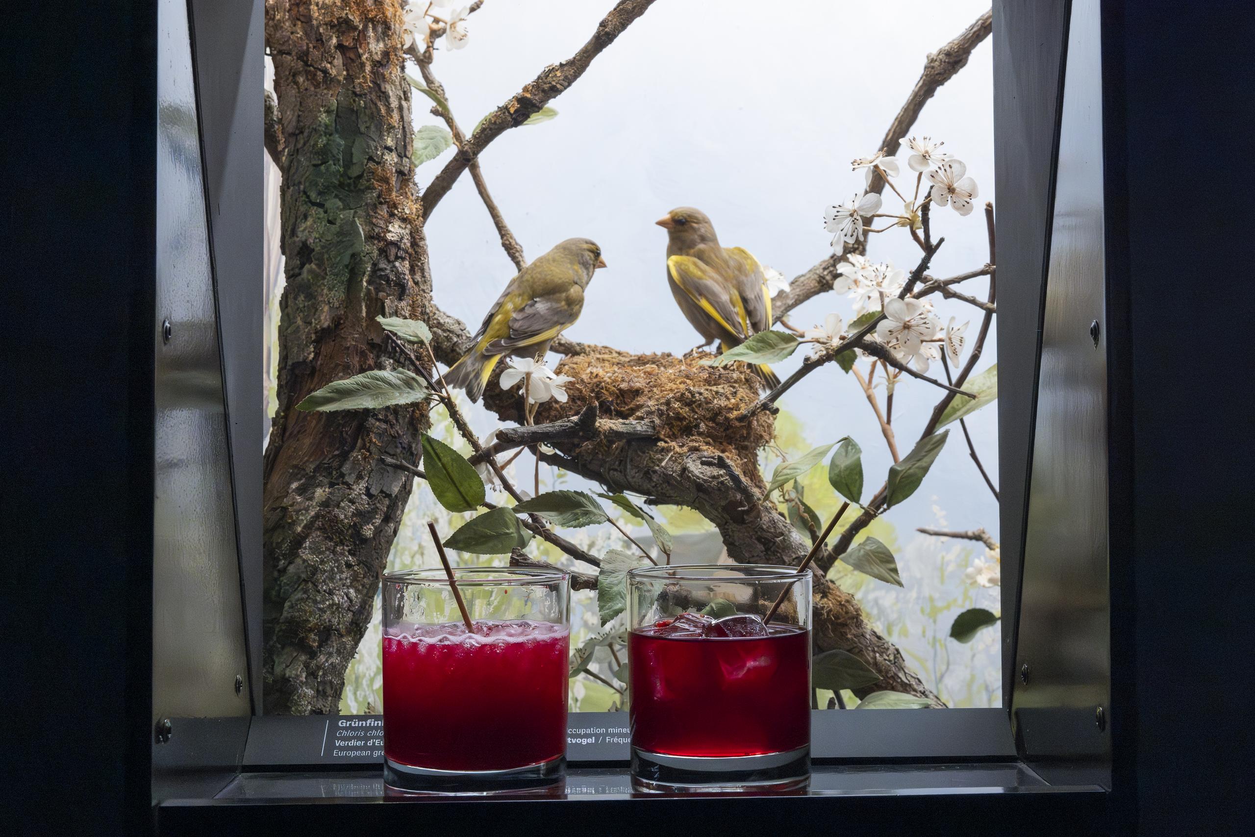 Bar der toten Tiere 2024