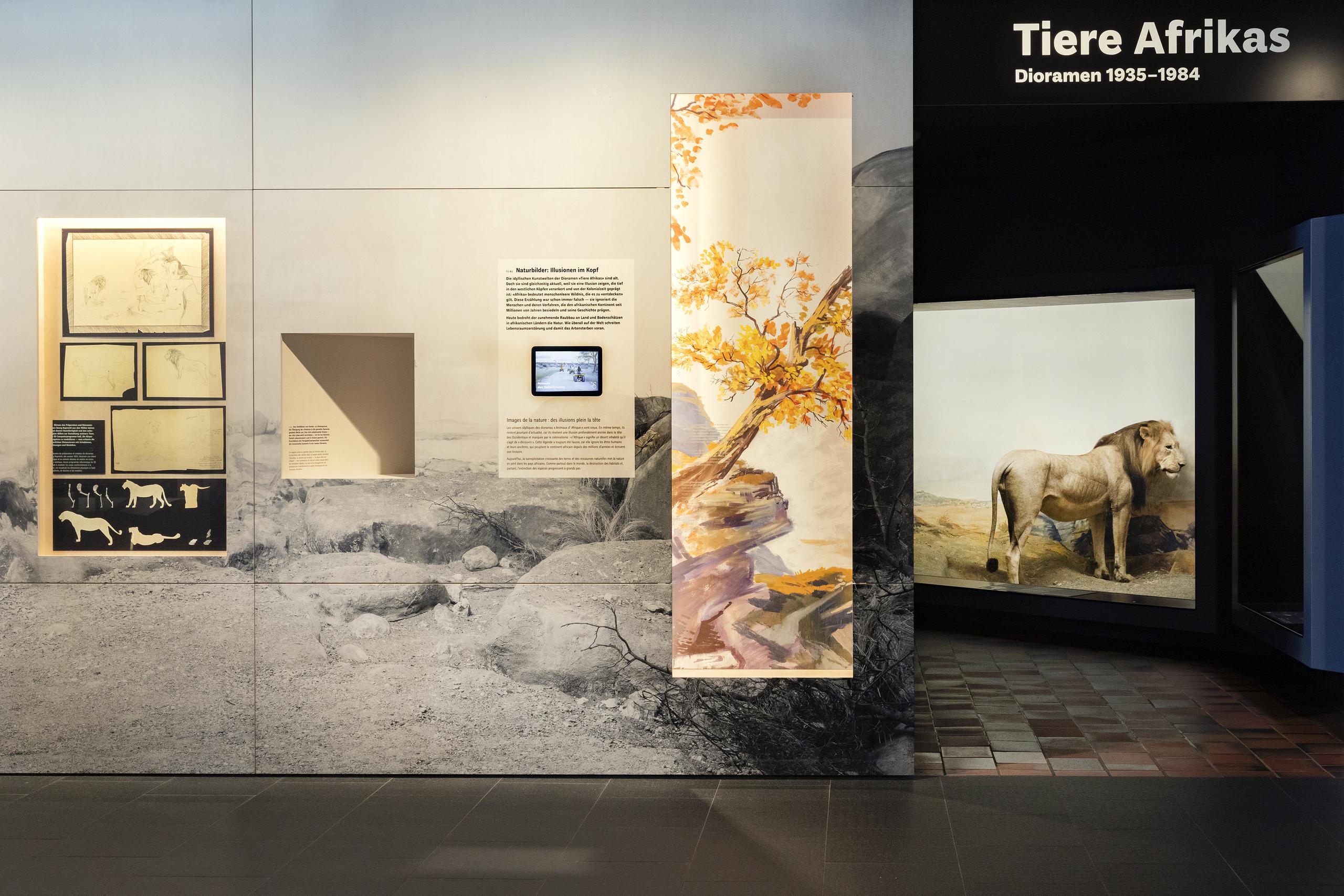Tiere Afrikas